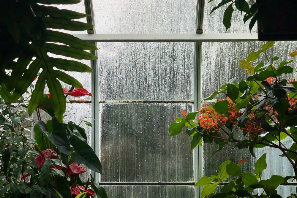 3 Ways to See God at Work Through the Worse Situations