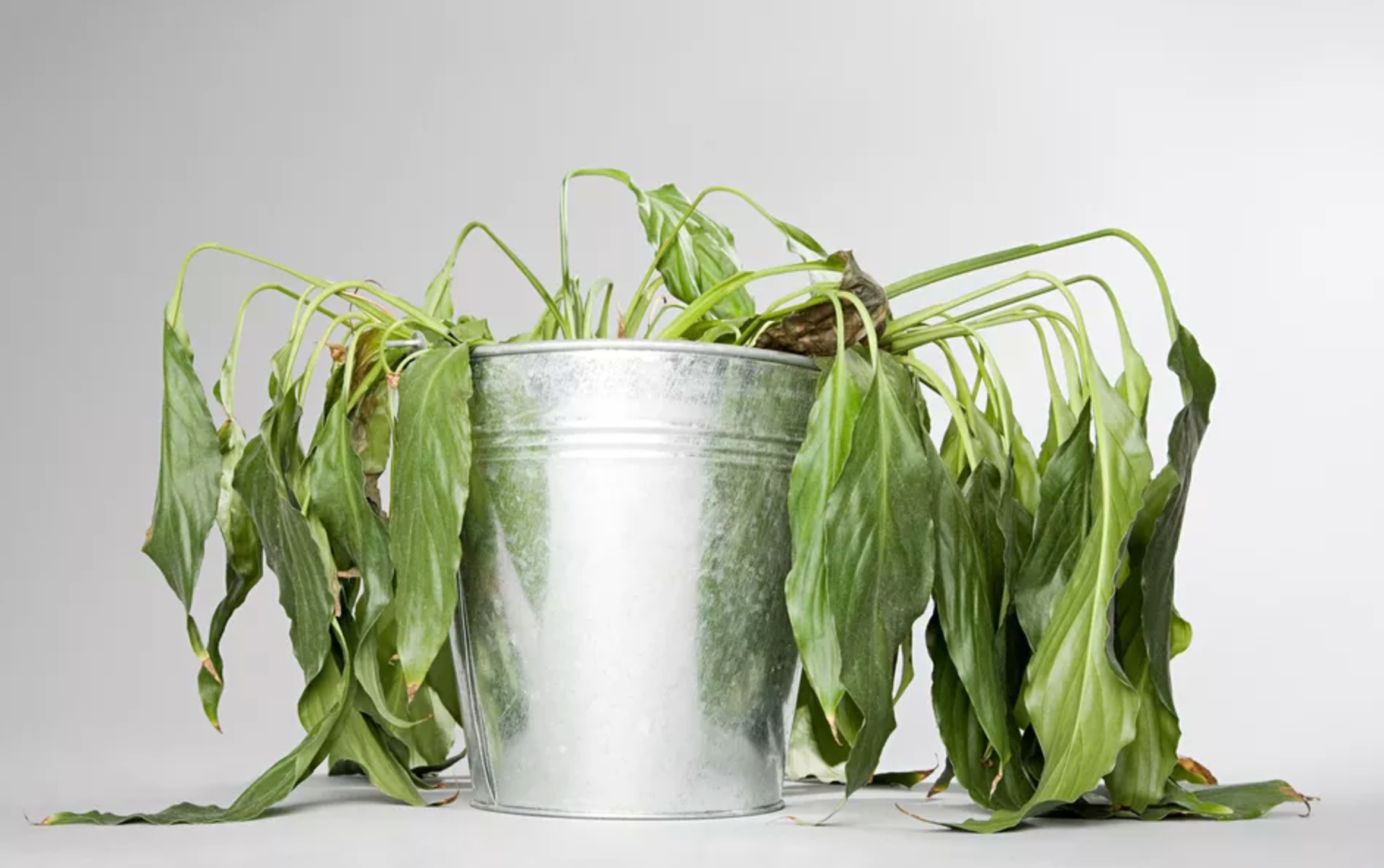 5 Ways to Nurture Your God-Given Gifts and Talents - Team Jesus Magazine