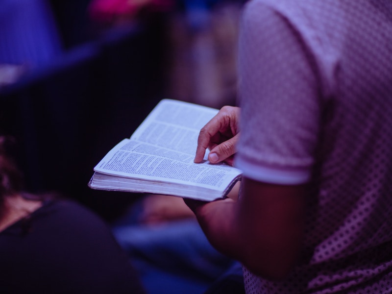 seek first the kingdom