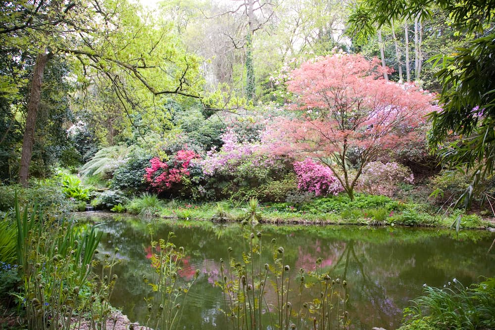 Adam’s Aloneness Wasn’t Just His Singlehood