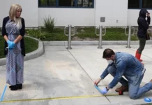 Pandemic Restrictions Had No Lasting Effect on Churches, Study Finds